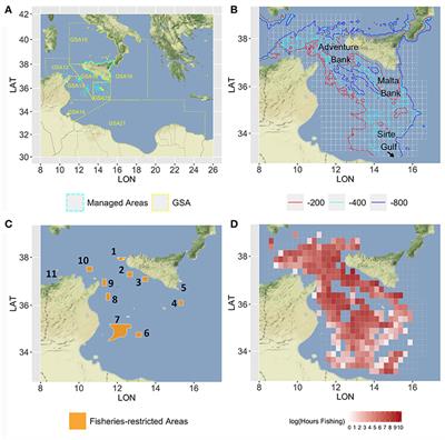 Simulating the Effects of Alternative Management Measures of Trawl Fisheries in the Central Mediterranean Sea: Application of a Multi-Species Bio-economic Modeling Approach